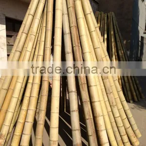 Solid Bamboo Pole thumbnail-1