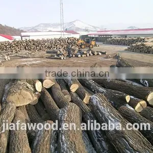 Baltic/Russian Birch Logs thumbnail-5
