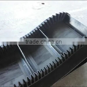 World Best Selling Products Foundries ep Conveyor Belt Best Selling Products in China thumbnail-4