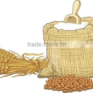High Gluten Flour thumbnail-6