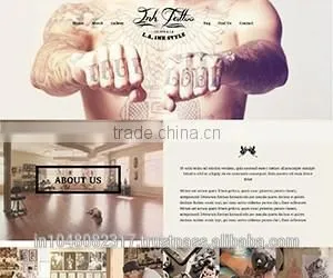 Professional Web Design & Web Development thumbnail-2