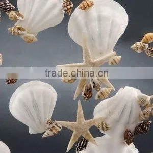 Shells Translucent Materials Resin Panel in Zhongshan thumbnail-1