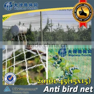 Birds Net / 20101-45 thumbnail-1