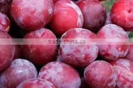 Plums thumbnail-1