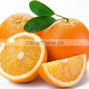Fresh Gannan Navel Orange, Best Quality China Navel Orange thumbnail-1