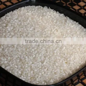 White Rice thumbnail-5