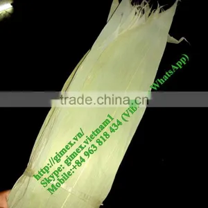 Dried Bamboo Leaves thumbnail-1