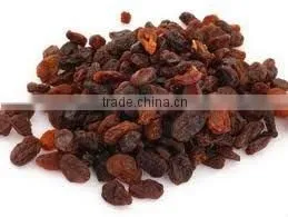 Golden Raisin thumbnail-5