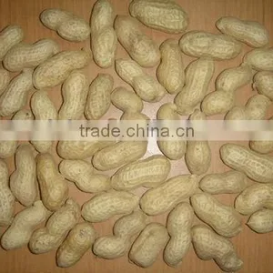 Peanut in Shell thumbnail-1