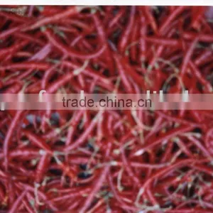 Red Chillies Yunnan thumbnail-1