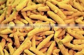 A GRADE TURMERIC FINGER thumbnail-1
