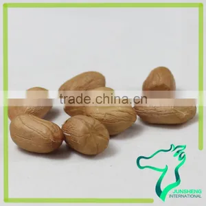2016 New Crop Premium Quality Chinese Red Skin Peanut Kernel thumbnail-6