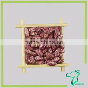 Red Speckled Kidney Beans thumbnail-4