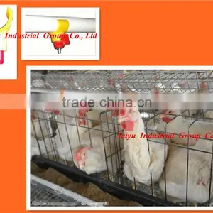 TAIYU Poultry Farm Broiler Cage thumbnail-1