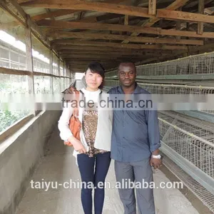 TAIYU Design Layer Chicken Cages In Kenya thumbnail-2
