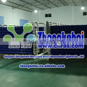 Three-dimensional Indoor Recirculating Aquaculture Crab Houses thumbnail-1