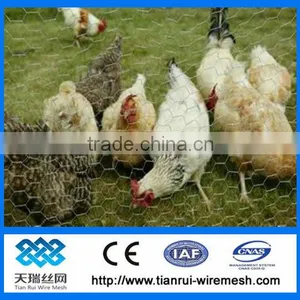 Chicken Wire Netting/pvc Coated Chicken Wire Mesh/pvc Coated and Galvanized Hexagonal Wire Mesh thumbnail-1