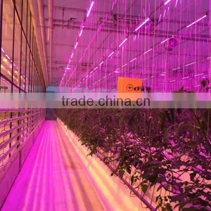 Horticultural Green House Lights thumbnail-1