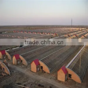 PC Sheet Venlos Greenhouse Polycarbonate Greenhouse for Agriculture Growing thumbnail-6