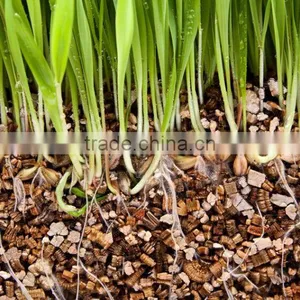 Light Weight Hydroponic Expanded Vermiculite Growing Medium for Sale thumbnail-1