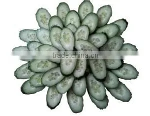 OULENO Corm Qiecai Machine Automatic Slicing Machine / Universal Bar Ding Chopping Machine Use of a Machine Sausage Casing thumbnail-3