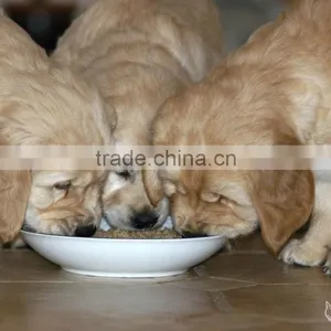 A Short Time Machines to Make Pet Pellet Food thumbnail-3