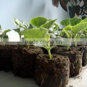 New Products Hotsale Rice Starting Seed Trays thumbnail-5