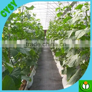 Agricultural Greenhouse pp Ground Cover Fabric Black Weed Mat thumbnail-5