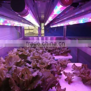 Best Seller 20w Led Grow Tube Growing Led Light Use in Amsterdam thumbnail-5