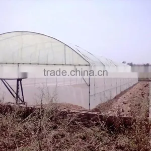Cheap Invernadero Greenhouse thumbnail-1