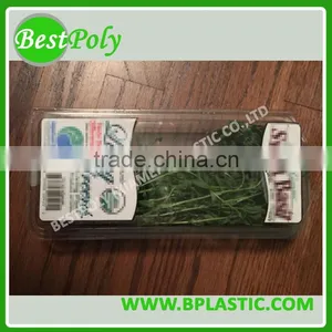 Side Open Box Plastic, Plastic Shaped Box, Plastic Wholesale Sushi Box thumbnail-2