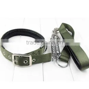 Dog Leash thumbnail-1