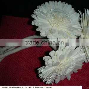 Sola Wood Flower thumbnail-1