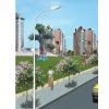 Street Light Pole thumbnail-1