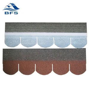 Scale Asphalt Shingle thumbnail-1