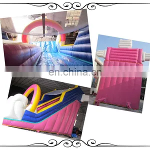Popular Theme Park Slides, Cat Inflatable Bouncy House, ,inflatable Castle thumbnail-3