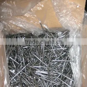 Construction Common Nials With Low Price thumbnail-5