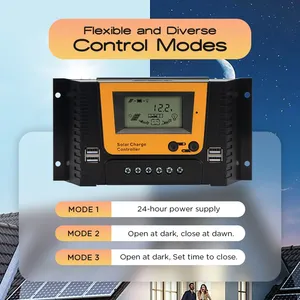 30A 12V 24V 48V PWM Charge Controller 30A 40A 50A 60A PWM Solar Charger Controller With LCD Display thumbnail-4