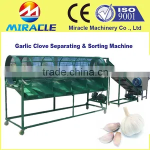 Low Damage Garlic Cloves Grading Machine With Lowest Consumption to Sort Garlic by Size thumbnail-1