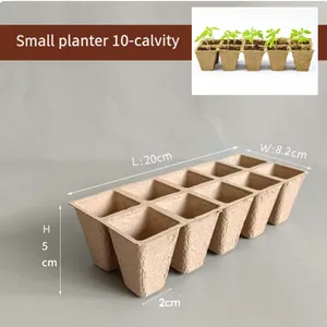 30-Cell Paper Pulp Seedling Tray Eco-Friendly Raw Material,21 Cell thumbnail-5