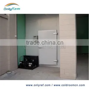Hot Sale Meat Walk in Chiller for Family thumbnail-5