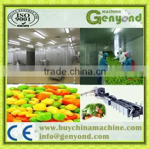 Instant Freezer/meat/food Freezing Machine 500kg/h thumbnail-5