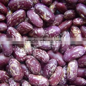 New Crop Heilongjiang Origin PSKB Long Shape thumbnail-5