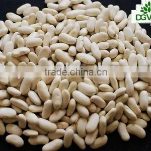 Dry White Beans thumbnail-1