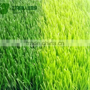 High Quality Cheap V Shape Artificial Football Turf thumbnail-2