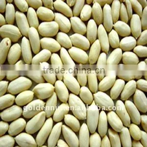 Blanched Peanut Kernels thumbnail-1