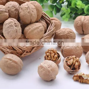 Chinese Walnut for Wholesale thumbnail-5