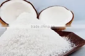 VIETNAM DESICCATED COCONUT PRICE thumbnail-1