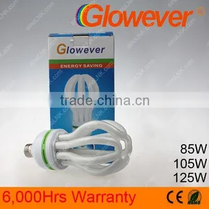 Flexible Led Light Energy Saving Lamp/4U/Lotus/14mm Bulb Diameter(Glowever) thumbnail-1