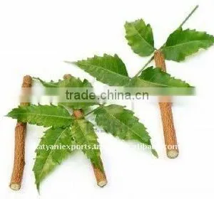Pure Neem Oil thumbnail-1